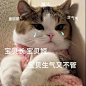 来自分享