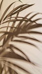 20 Neutral iPhone Wallpapers (Free Download!)