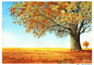 秋天的童话-Mitty_爱画画的米蒂_插画,水彩,风景,艺术,手绘水彩,秋天_涂鸦王国插画