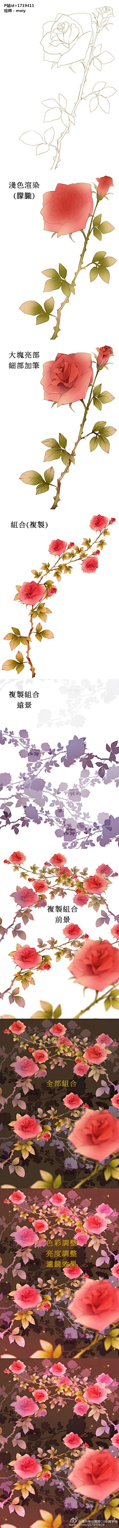 甜酒泡蔷薇采集到教程