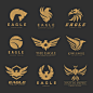 Bird eagle phoenix logo set