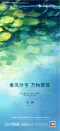 地产节气小暑--源文件下载
