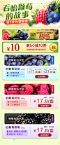 蓝莓 树莓 黑莓 活动页