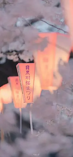 今日治愈壁纸 | 樱花烂漫 : ☀每天08：30请记得打开手机，查收我的礼物开启美妙的一天（点击图片可放大保存）