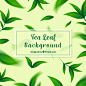 Free vector tea background with leaves