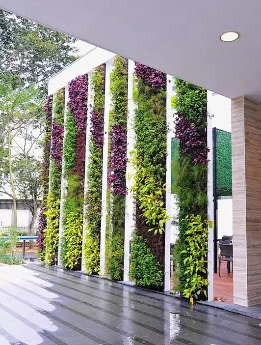 植物墙作为立体绿化，净化空气，吸收空气中...
