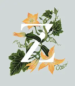 An A-Z of Edible Flowers -2- 字体- 设计欣赏类- 我的自学网-我要自学网-免费教程|ps视频教程下载|PS抠图教程|自学设计|设计教程|平面教程|设计培训-我爱自学网