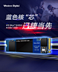【西部数据WDS500G2B0C】西部数据（Western Digital）500GB SSD固态硬盘 M.2接口(NVMe协议)WD Blue SN550 NVMe SSD｜五年质保【行情 报价 价格 评测】-京东