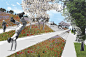 Dakpark Vierhavenstrip