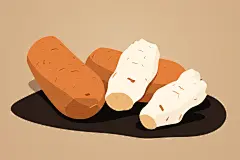 天麻中草药中药材插画