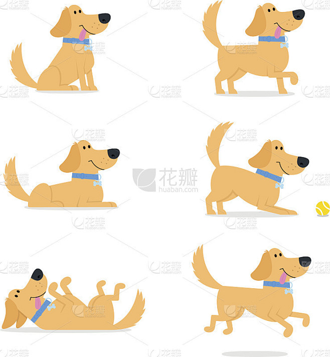 一组狗的姿态矢量插图