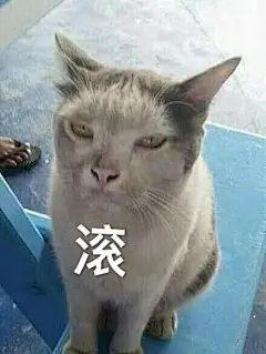 你手机里最搞笑的表情包是哪个？（请关闭水印）？ - 知乎
