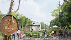 理想花园世界采集到乡村游—横港村