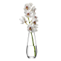 Buy LSA International Flower Tall Stem Vase | Amara : Display your favourite florals in ultimate style with this Tall Stem Vase from LSA International. Luxuriously handmade from glass, this vase features a stunning curvaceous base with a long neck, the t