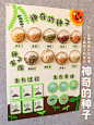 幼儿园中大班植物角认知种子DIY手工展 - 小红书