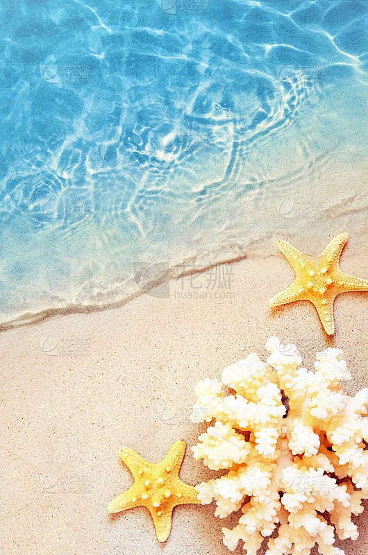 夏天海滩上的海星在海水里。夏天的背景。夏...