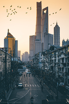 大花鬼要流浪采集到街景／城市