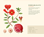 Laura Pablo on Behance