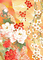 51B58PICCUa_1024