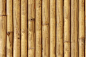 Textures   -   NATURE ELEMENTS   -  BAMBOO - Bamboo texture seamless 12270