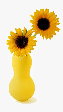 黄色菊花壁纸_动物植物_手机壁纸_主题之家下载站