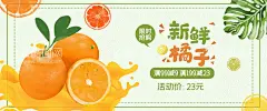 橘子  - 源文件下载【酷图网】橘子,背景,排版,创意,插画,