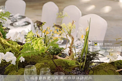 王晓晓晓东采集到酒会宴会