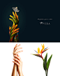 Pera Diamond Retouch on Behance