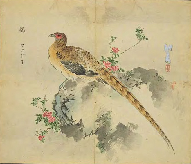 山海经白鷮