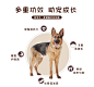 德牧黑背狼狗马犬杜宾德国牧羊犬幼犬成犬中大型专用狗粮20kg包邮-淘宝网