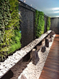 natural, living garden walls: