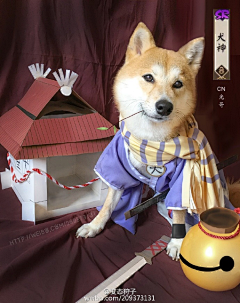 痞子young采集到cos