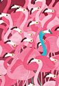 Saatchi Online Artist: Adam Fisher; Acrylic, 2011, Painting "Flamingoes"