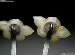 朋友建单用-明代白玉簪头对簪图片及价格_古代金银饰品、用具交易_盛世收藏论坛@北坤人素材