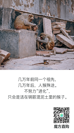 兮儿的小宝贝采集到鸡汤