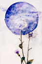蒲公英-瑶背背_清新，水彩，手绘 from Oyster17  #插画##水彩##治愈系# #儿童插画#