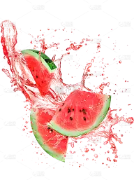 预览图