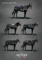 #防具# #动物# Nilfgaard Horse Armor Set
DLC Armor Set for Geralt's badass horse - Roach. 巫师：狂猎 坐骑马装备