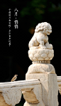 来自相册