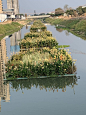 水上种植浮床池塘净化浮岛景区荷花浮板生物水y培塑料生态水盘河-淘宝网