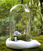 【酷蝌星球】4款DIY苔藓微景观创意生态瓶 | 爱…稀奇~{新鲜:科技:创意:有趣}