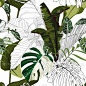 Fashionable seamless tropical pattern with tropica