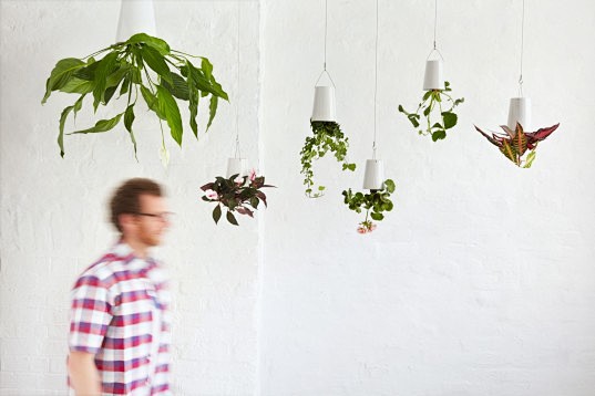 Boskke Sky Planters ...