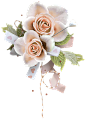 欧式复古古典唯美花卉纹理蕾丝免抠PNG图案 手账设计PS素材 (41)