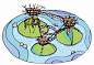 webp.webp (17)