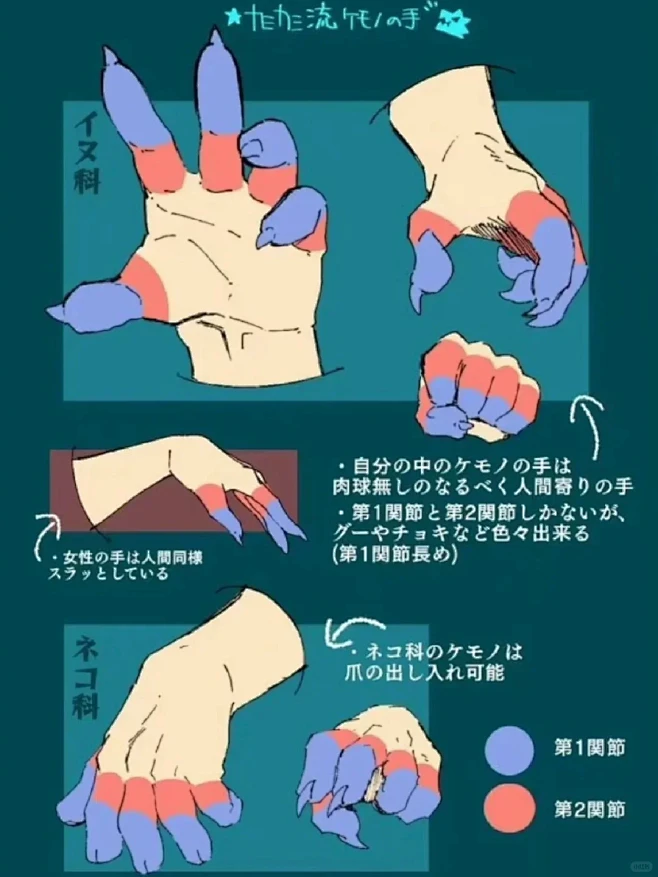 兽爪画法的绘画教程素材，福瑞控狂喜 ️ - 小红书-花瓣网