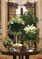 This modern and stylish design composed of fresh roses, green hydrangeas, beautiful cala lilies, lush star lilies and exotic Anthuriums enchant guests as they walk into the main lobby at The Plaza Hotel.: 