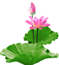 438bf7cf2b5ca6fdcc6abf80d591446f24a47267758d0-irfb32_fw1200