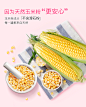 红色小象爽身粉婴儿新生儿玉米天然不含滑石粉儿童宝宝成人痱子粉-tmall.com天猫