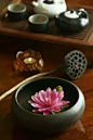 春水茶，清风盏